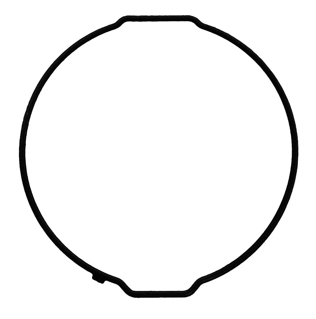 GBX100 - REAR SEAL