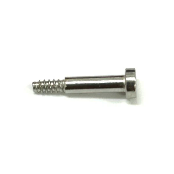 GSTB100D Band Screw - 10502723