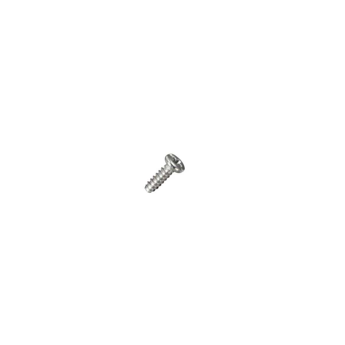 GG1000 and GWG1000 - BACKING PLATE SCREW - 72075251 x 1